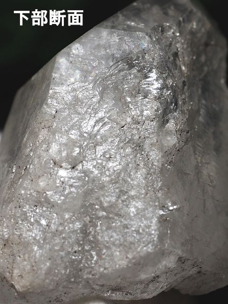 ���C�g�j���O�N�H�[�c ������ 110g (382) 