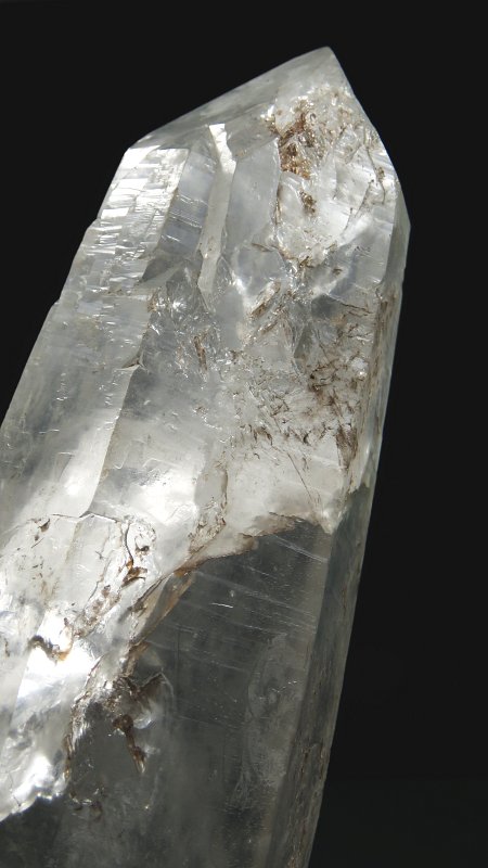 ���C�g�j���O�N�H�[�c ������ 1153g (*93)