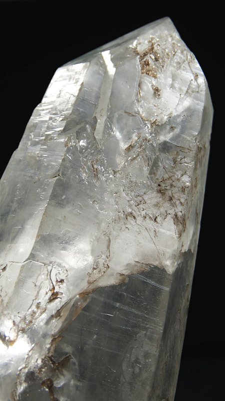 ���C�g�j���O�N�H�[�c ������ 1153g (*93)