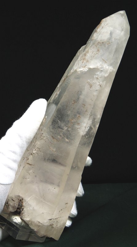 ���C�g�j���O�N�H�[�c ������ 1153g (*93)