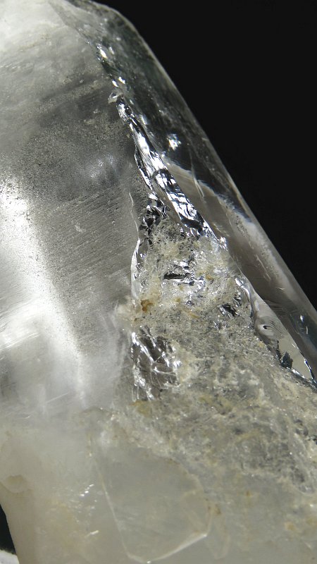 ���C�g�j���O�N�H�[�c ������ 443g (197)