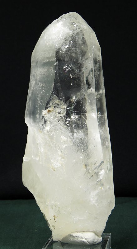 ���C�g�j���O�N�H�[�c ������ 443g (197)