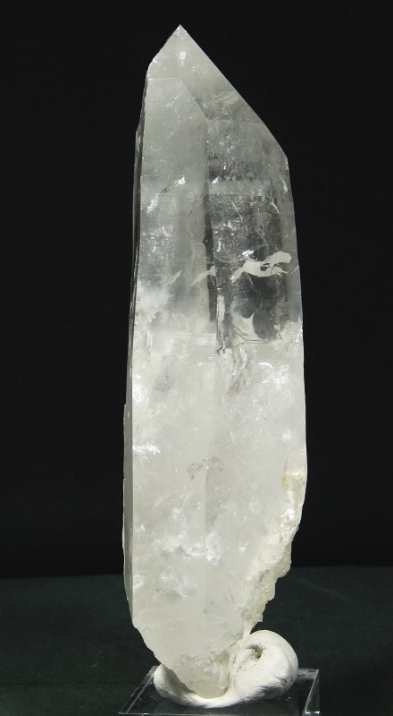 ���C�g�j���O�N�H�[�c ������ 443g (197)