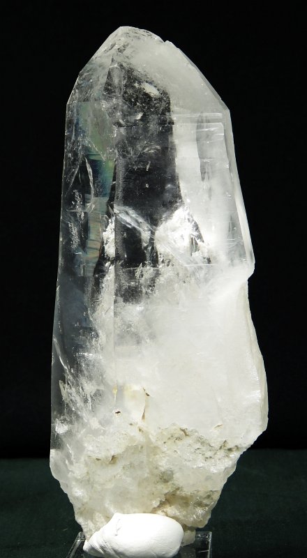 ���C�g�j���O�N�H�[�c ������ 443g (197)