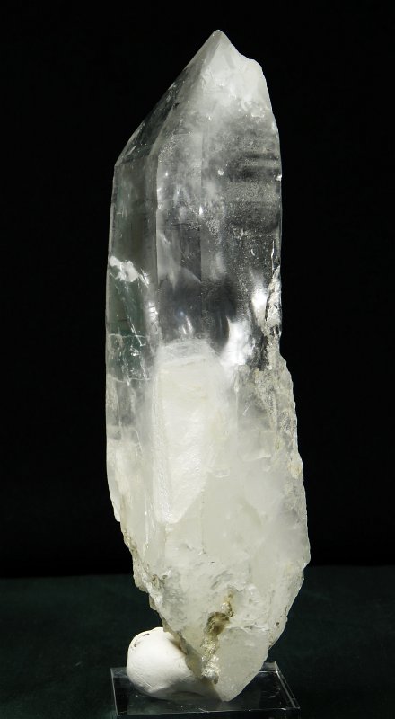 ���C�g�j���O�N�H�[�c ������ 443g (197)