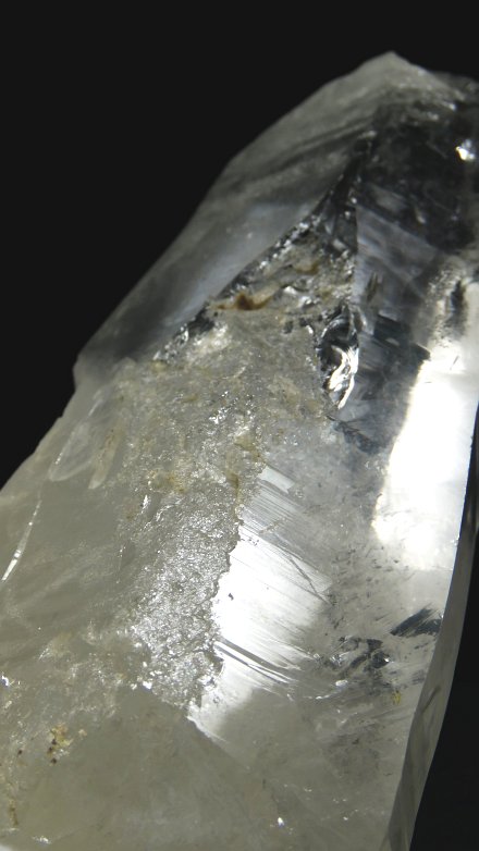 ���C�g�j���O�N�H�[�c ������ 443g (197)