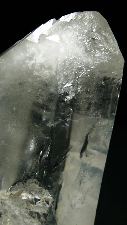 ���C�g�j���O�N�H�[�c ������ 443g (197)