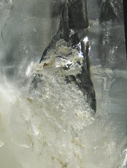 ���C�g�j���O�N�H�[�c ������ 443g (197)