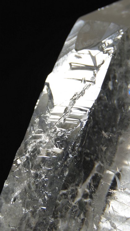 ���C�g�j���O�N�H�[�c ������ 302g (323)