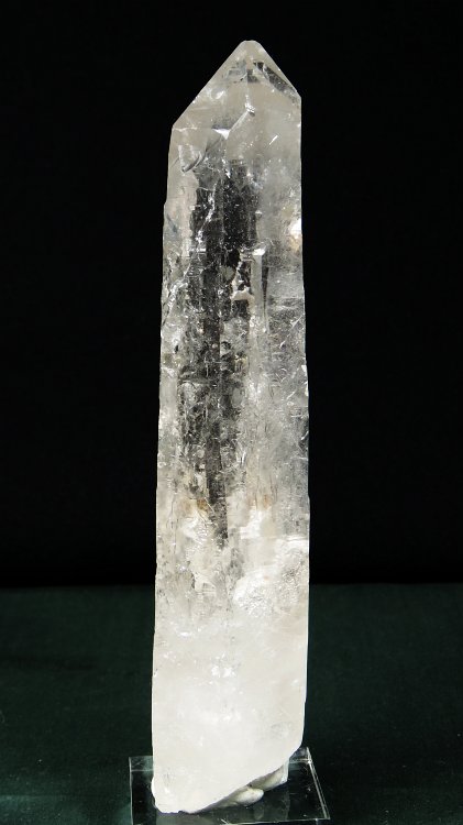 ���C�g�j���O�N�H�[�c ������ 302g (323)