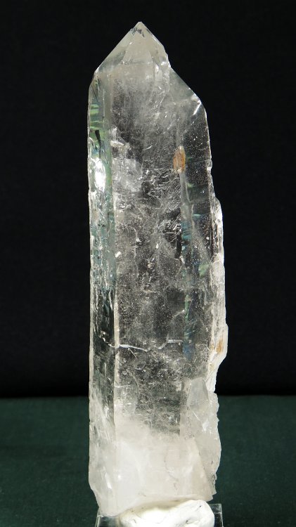 ���C�g�j���O�N�H�[�c ������ 302g (323)