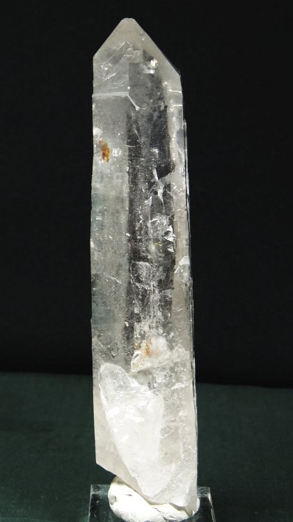 ���C�g�j���O�N�H�[�c ������ 302g (323)