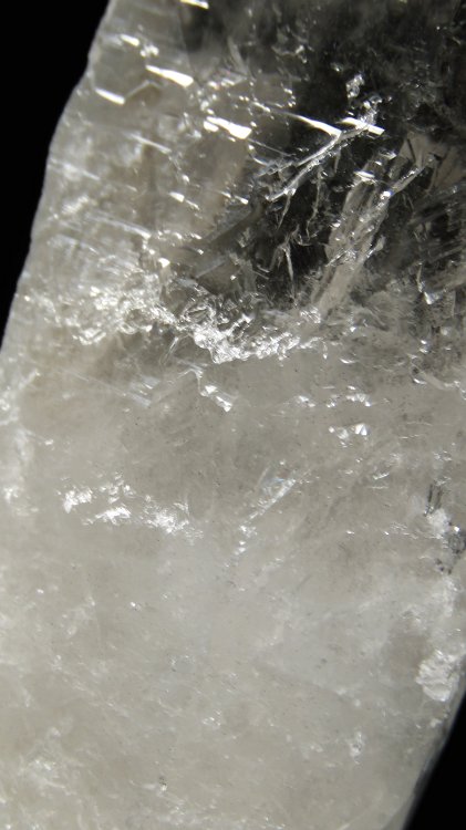 ���C�g�j���O�N�H�[�c ������ 302g (323)