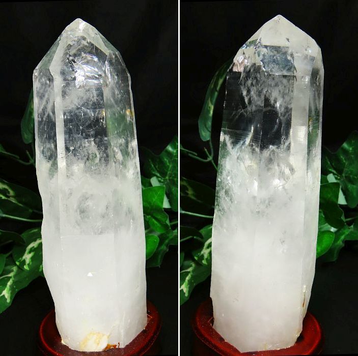 ���C�g�j���O�N�H�[�c������ 1.19kg (383)