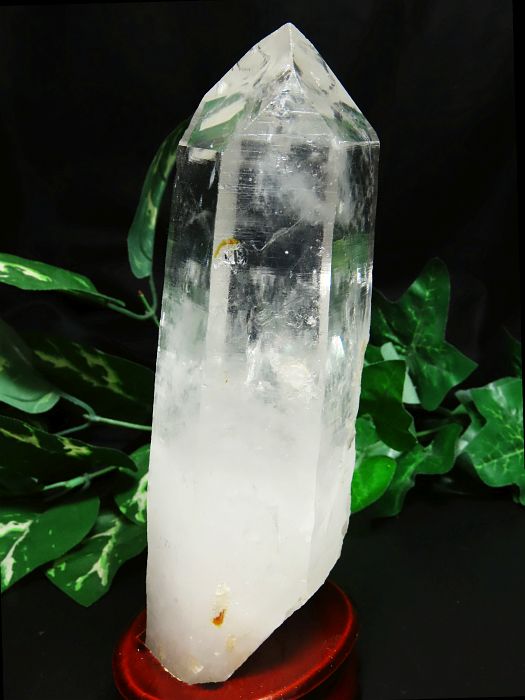 ���C�g�j���O�N�H�[�c������ 1.19kg (383)