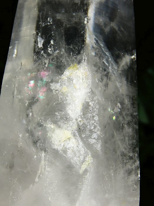 ���C�g�j���O�N�H�[�c������ 1.19kg (383)