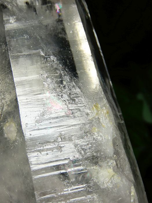 ���C�g�j���O�N�H�[�c������ 1.19kg (383)