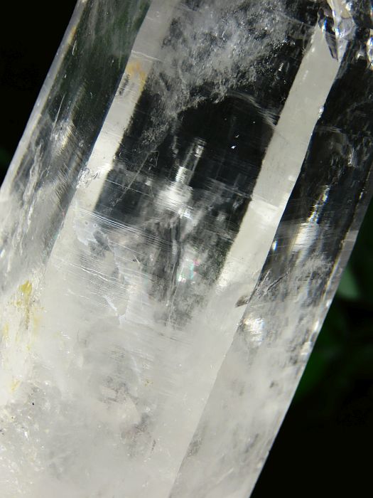 ���C�g�j���O�N�H�[�c������ 1.19kg (383)