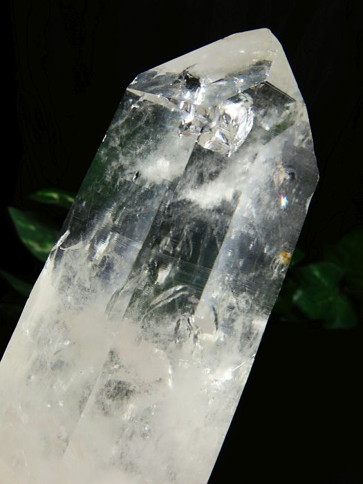 ���C�g�j���O�N�H�[�c������ 1.19kg (383)