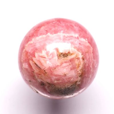 p[Xg[ۋ CJ[Yۋ20mm (13)