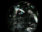 C{[NH[cۋ<br>` 71.5mm (342)