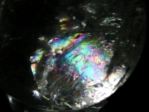 C{[NH[cۋ<br> 70.4mm (346)