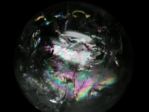 C{[NH[cۋ<br> 76.9mm (352)