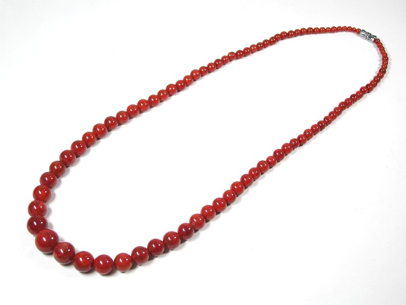 glbNX 12.5o 58cm (66)