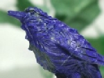 VRΒi<br>sXYEڗ<br> 60mm 74g (30)