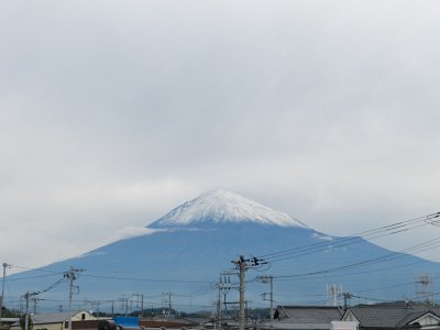 �X���U���B�e