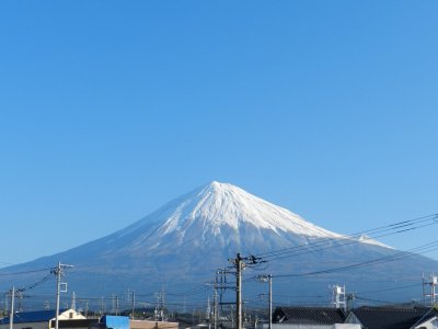 �W���U���B�e