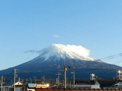 �V���Q���B�e