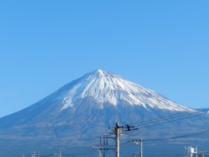 �W���P�V���B�e