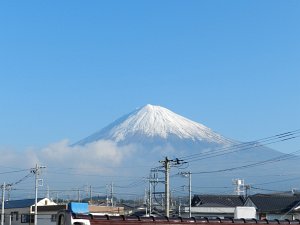 �W���T�P���B�e