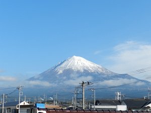 �X���P�R���B�e
