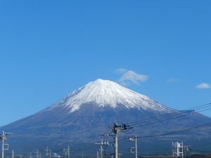 �P�O���P���B�e