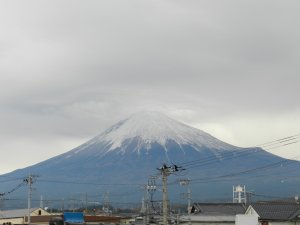 �W���T�V���B�e