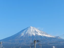 �W���R�O���B�e