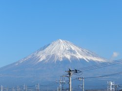 �P�O���R���B�e