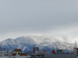 �X���P���B�e
