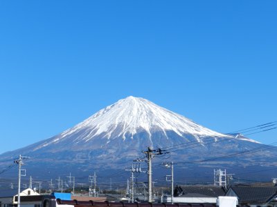 �P�O���R�T���B�e