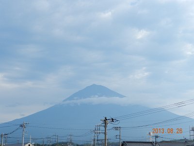 �V���R�U���B�e