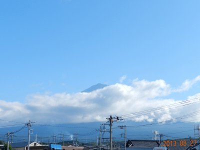 �W���P�P���B�e