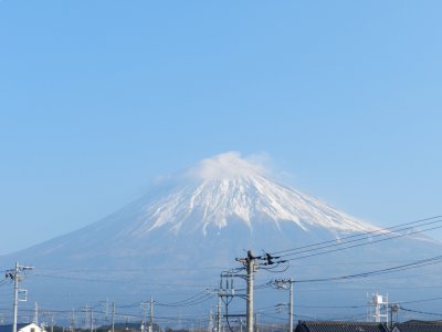 �X���Q���B�e