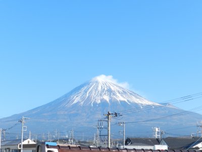 �X���R���B�e
