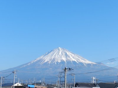 �X���S�V���B�e