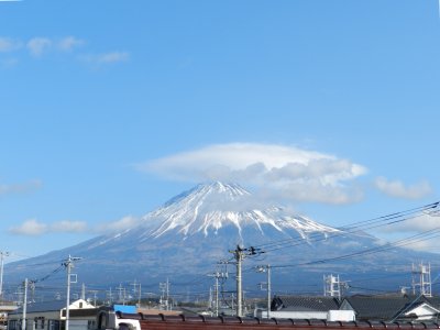 �P�O���V���B�e