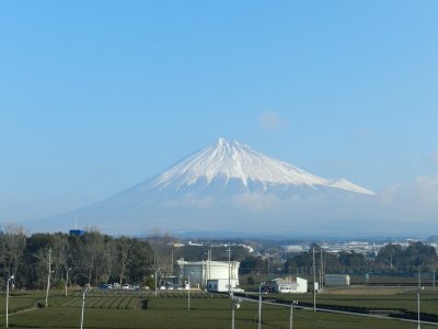 �W���T�V���B�e