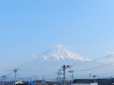 �X���P�V���B�e