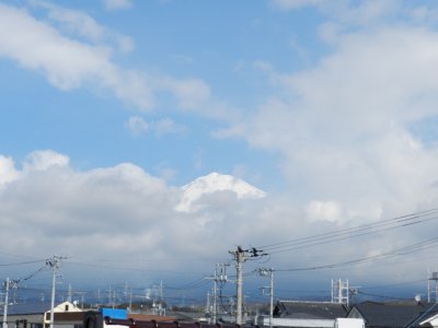 �P�Q���P���B�e